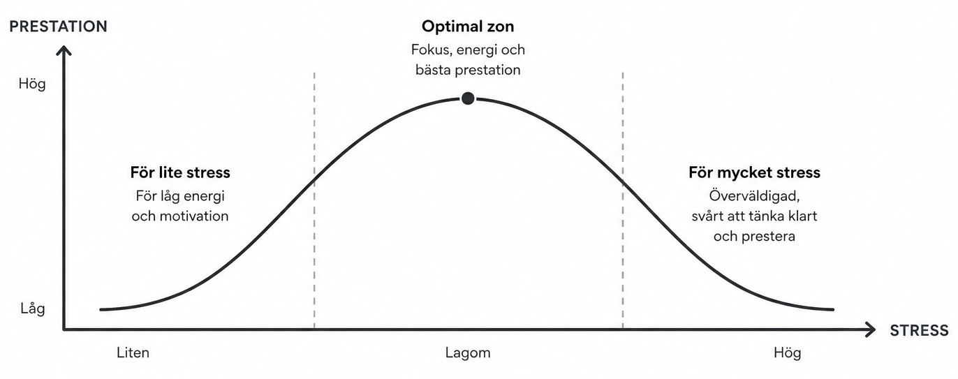 Yerkes-Dodson-kurvan visar att optimal prestation nås vid måttlig stressnivå